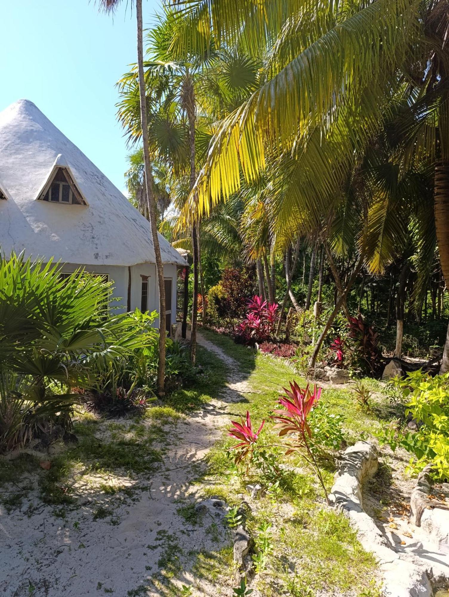 Chez Gigi - Eco Lodge Mahahual Exterior photo